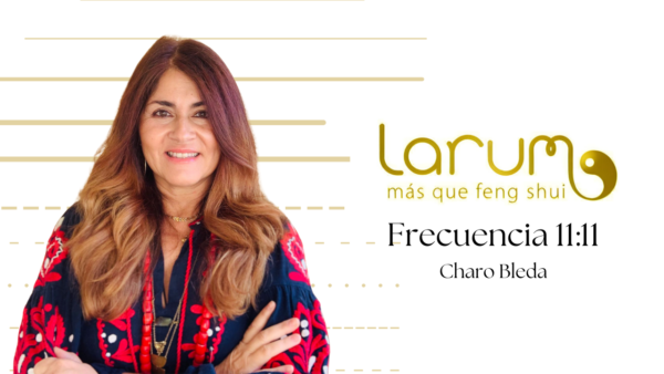 Frecuencia 11:11
